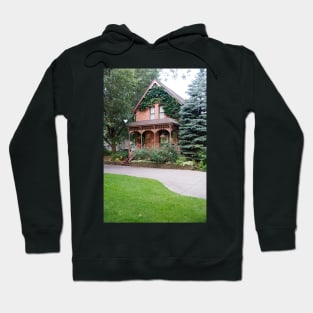 Milwakee Ave Historic district Hoodie